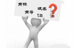 “.商標(biāo)”、“.TM”，域名商標(biāo)界的真假美猴王