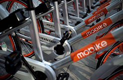 引證商標(biāo)被撤三！摩拜公司“MOBIKE”商標(biāo)注冊(cè)不具有在先注冊(cè)障礙