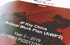 IP Key中國項(xiàng)目2019年度工作計(jì)劃公布！