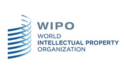 #晨報#WIPO 仲裁與調(diào)解中心成為中國國家頂級域名爭議解決機構(gòu)（自2019.8.1日起）