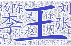 王老吉申請(qǐng)了100個(gè)“姓氏+老吉”商標(biāo)：不是涼茶，是啤酒類