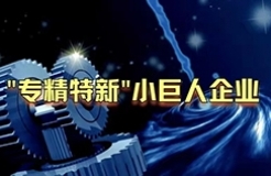 工信部：第三批專精特新“小巨人”企業(yè)達2930家，是前兩批總和的1.5倍