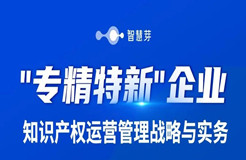 “專(zhuān)精特新”企業(yè)看過(guò)來(lái)！這有一份你的知產(chǎn)運(yùn)營(yíng)“攻略”