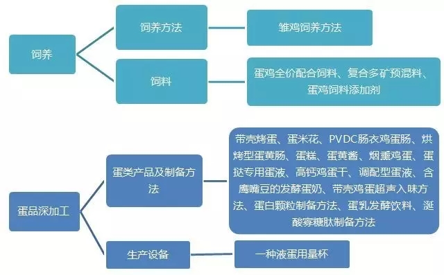 驚！「一枚雞蛋」背后的專利技術及布局策略