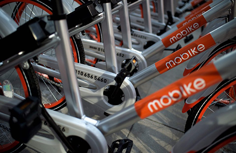 引證商標被撤三！摩拜公司“MOBIKE”商標注冊不具有在先注冊障礙