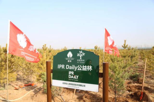 IPRdaily攜手“呼喚森林”共建公益林，為國家底色填一抹新綠