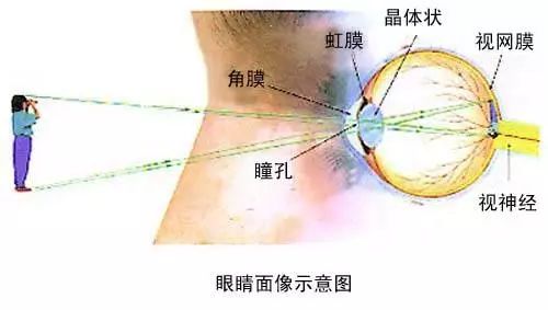 “滴了一年，最后瞎了”！一年賣7億的神藥曝驚人丑聞，延誤病情最終致盲？