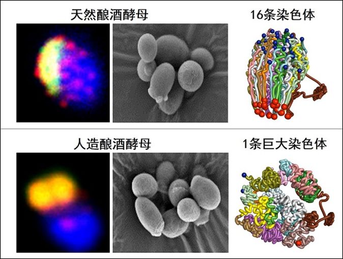 回顧：2018年全球科技的78項(xiàng)重要進(jìn)展和事件