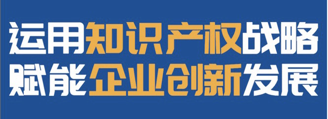 第十屆中國知識產(chǎn)權(quán)年會 “運用知識產(chǎn)權(quán)戰(zhàn)略.賦能企業(yè)創(chuàng)新發(fā)展”論壇成功舉辦