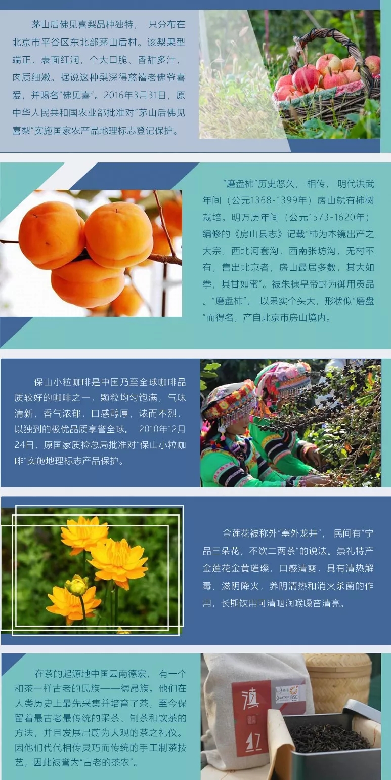 ?相約圣誕！中國知識產(chǎn)權(quán)網(wǎng)《IP大咖說》欄目線下研討會 ——地理標(biāo)志助力鄉(xiāng)村產(chǎn)業(yè)振興