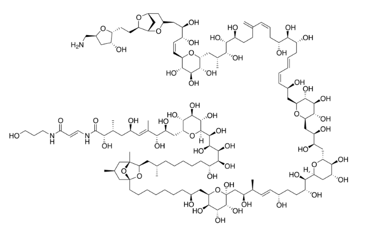 逐條解讀中美經貿協(xié)議知識產權章節(jié)