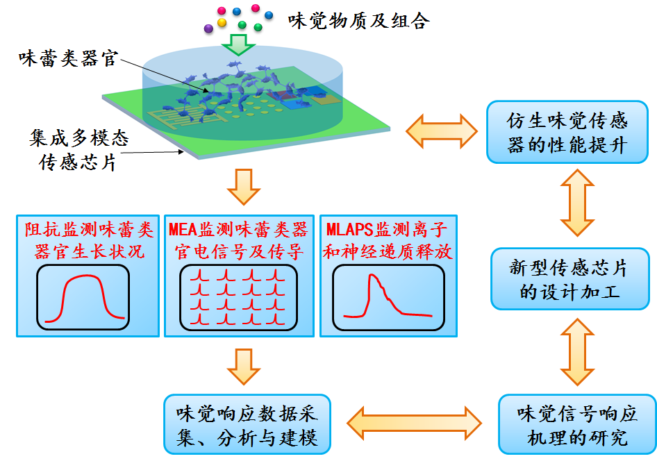 【速看！】18個(gè)優(yōu)秀項(xiàng)目來穗！國(guó)家自然科學(xué)基金優(yōu)秀成果對(duì)接活動(dòng)（廣州分會(huì)場(chǎng)）即將舉辦！