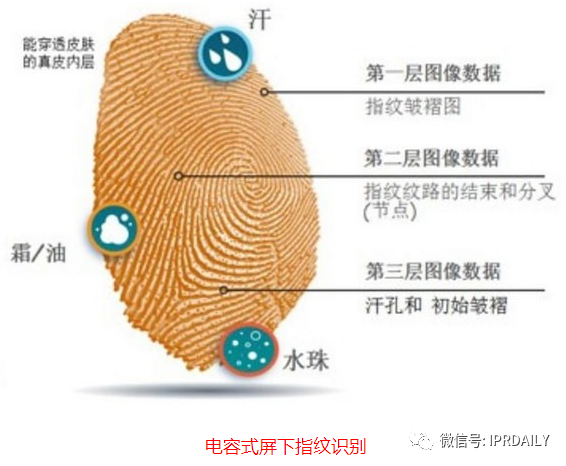 細分領(lǐng)域的專利代理-淺談光電顯示指紋識別技術(shù)