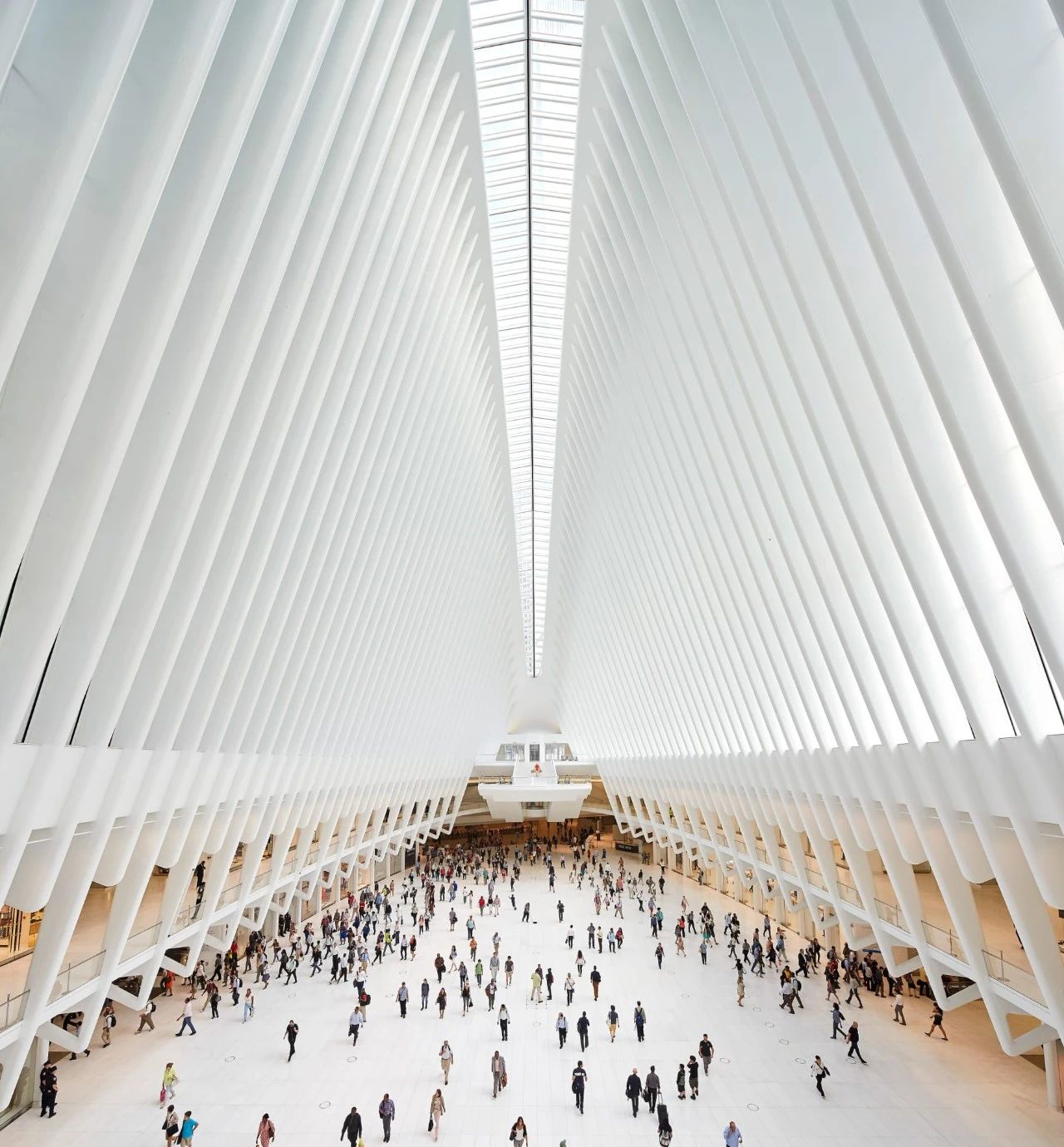 Santiago Calatrava ：自然設計建筑大師