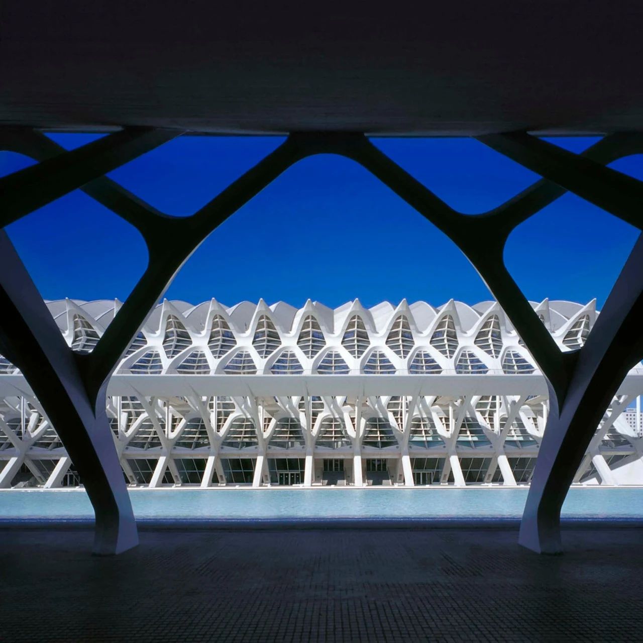 Santiago Calatrava ：自然設計建筑大師