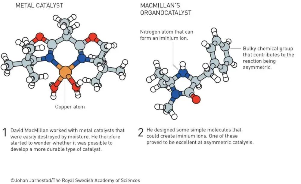 2021年諾貝爾化學獎揭曉！他們發(fā)現(xiàn)了制造新分子的巧妙工具