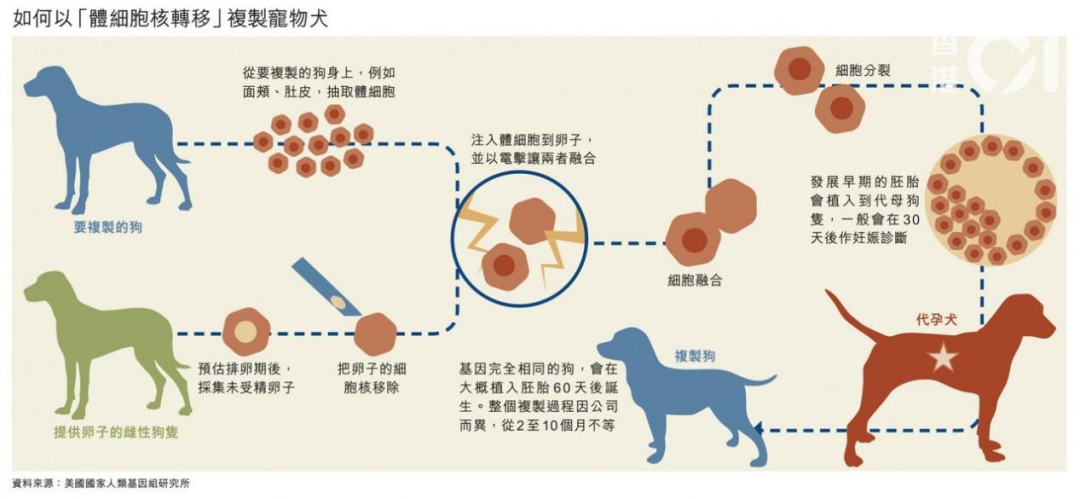 “寵物熱與知識產(chǎn)權(quán)”專題（下）：挑戰(zhàn)篇/變革篇/征稿篇