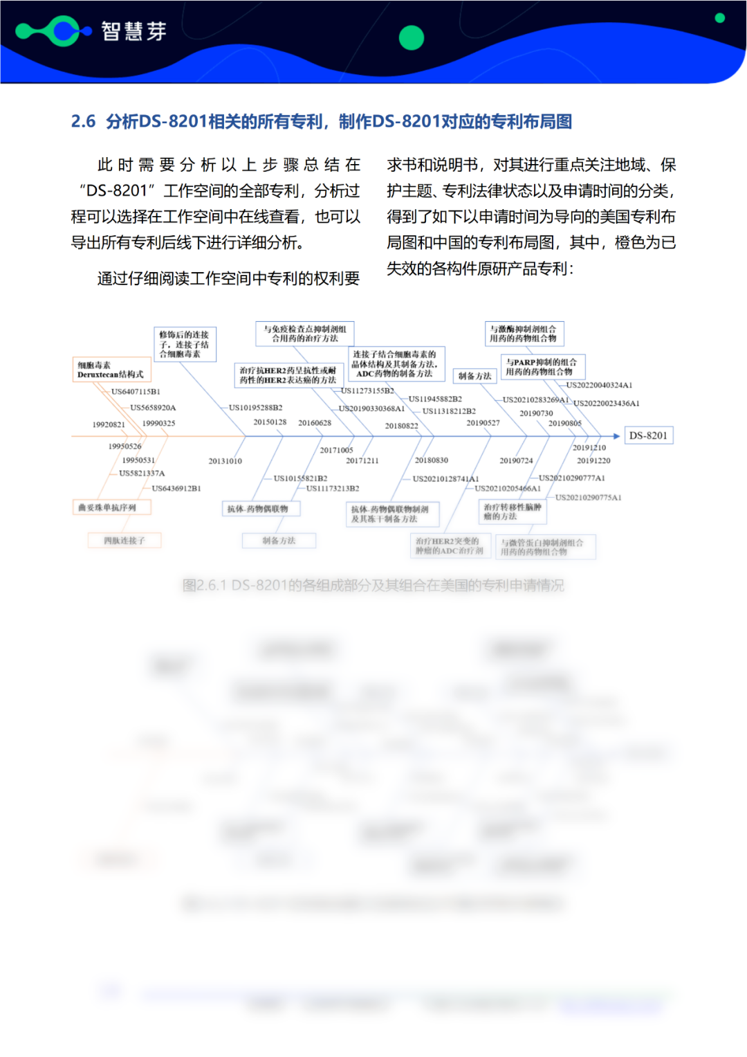 報(bào)告免費(fèi)領(lǐng)取 | 第一三共DS-8201專利調(diào)研實(shí)務(wù)指南