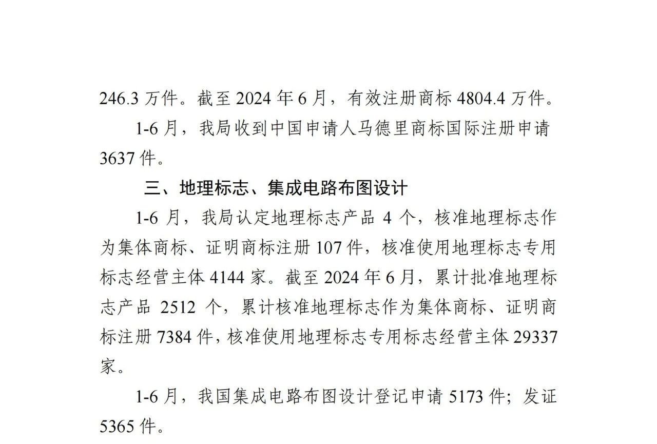 2024年1-6月專利、商標、地理標志等知識產(chǎn)權(quán)主要統(tǒng)計數(shù)據(jù) | 附數(shù)據(jù)詳情