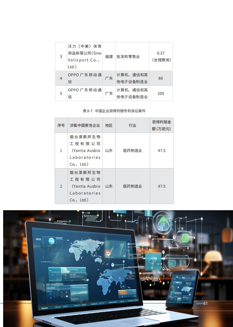 《2024中國企業(yè)海外知識產(chǎn)權(quán)糾紛調(diào)查》報告全文發(fā)布！